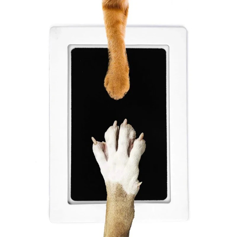 طقم حبر آمن وغير سام لبصمات أق - مراجعة Footprint Ink Kit وسعره
