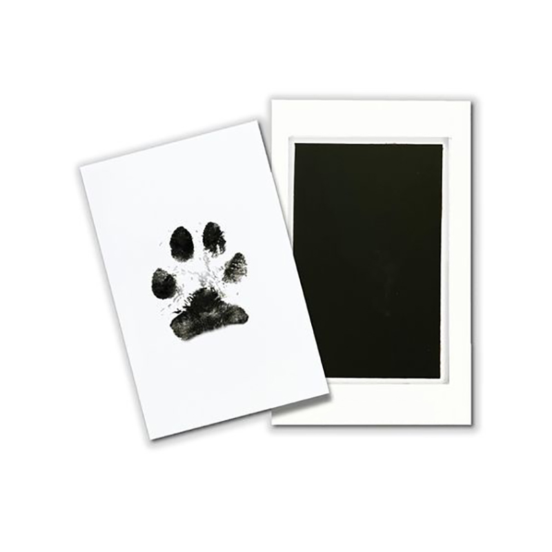 القط الكلب باو طباعة الحبر عدة - مراجعة Footprint Ink Kit وسعره